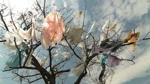 Plastic pollution -