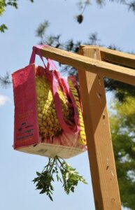 Using a reusable shopping bag to make upside down planter bag