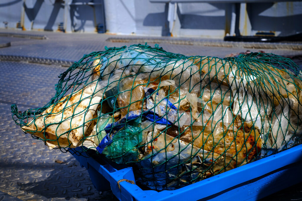 seaqual fisherman